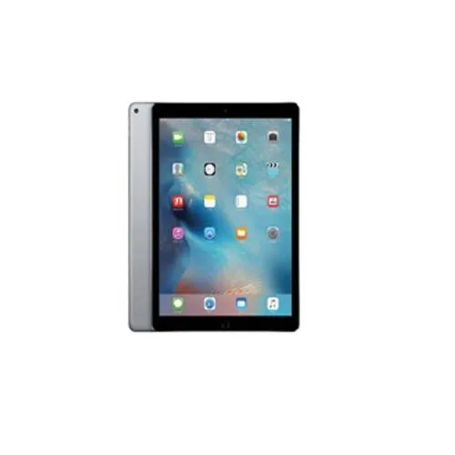 Apple ipad Mini 256GB Grey MUXC2HNA price in Chennai, tamilnadu, kerala, bangalore